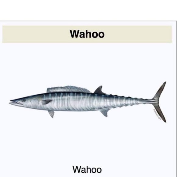 Meet your Posher - Picture 2 of 2